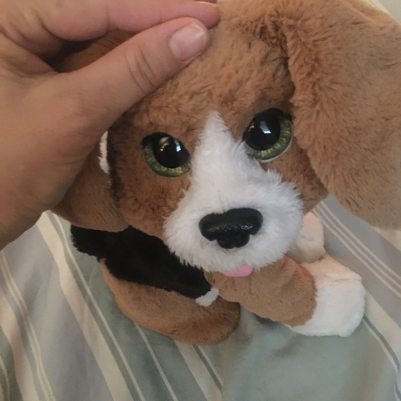 Fur Real Chatty Charlie the Barkin’ Beagle interactive puppy - Picture 5 of 5